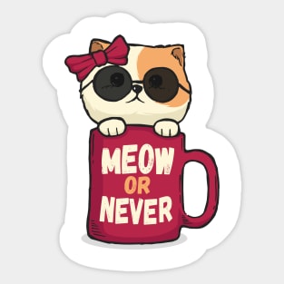 Meow or never cat lovers Sticker